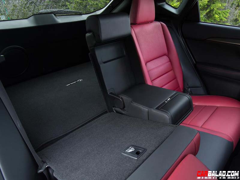 Lexus_NX_200t_Carbalad_Inside_3